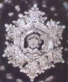 masaru_emoto_hado_water_foto_no_1.jpg
